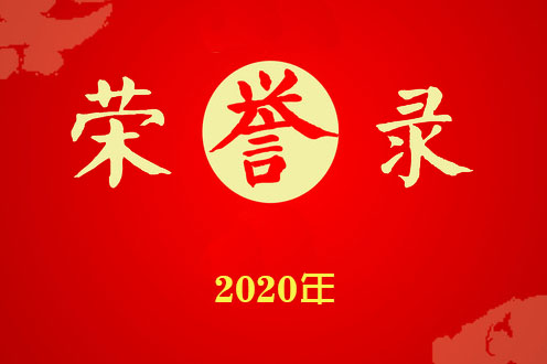 掇刀石中學(xué)榮譽(yù)錄(2020)